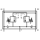 Shock and anti-cavitation valve